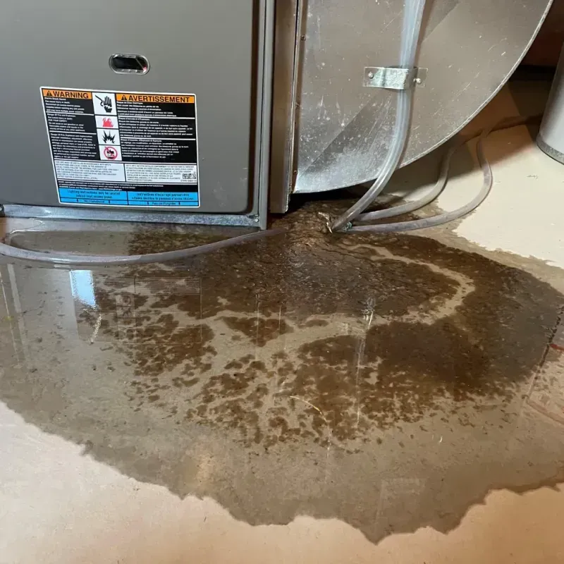 Appliance Leak Cleanup in Jal, NM